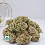 Buy Cannabis Super Silver Haze AAA at MMJ Express Online Shop