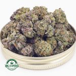 Buy Cannabis Rainbow Sherbet AAAA (Popcorn Nugs) at MMJ Express Online Shop