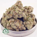 Buy Concentrates Cannabis Alien Cake AAAA at MMJ Express Online Shop