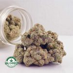 Buy Concentrates Cannabis Alien Cake AAAA at MMJ Express Online Shop