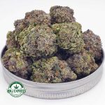 Buy Cannabis Purple Punch AAAA at MMJ Express Online Shop