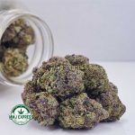 Buy Cannabis Purple Punch AAAA at MMJ Express Online Shop