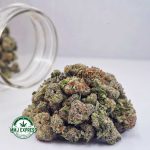 Buy Cannabis Dosi Cake AAAA (Popcorn) at MMJ Express Online Shop