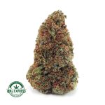 Buy Ghost Train Haze AA at MMJ Express Online Shop