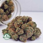 Buy Ghost Train Haze AA at MMJ Express Online Shop