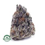 Buy Cannabis Purple Haze AAAA at MMJ Express Online Shop