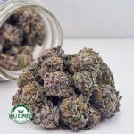 Buy Cannabis Purple Haze AAAA at MMJ Express Online Shop