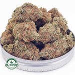 Buy Cannabis Blackberry Kush AA at MMJ Express Online Shop