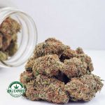 Buy Cannabis Blackberry Kush AA at MMJ Express Online Shop