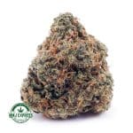 Buy Cannabis White Widow AAAA at MMJ Express Online Shop