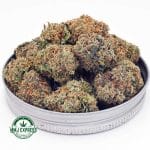 Buy Cannabis White Widow AAAA at MMJ Express Online Shop