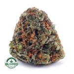 Buy Cannabis Rainbow Kush AA at MMJ Express Online Shop