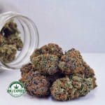 Buy Cannabis Rainbow Kush AA at MMJ Express Online Shop