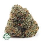 Buy Cannabis Pineapple Upside Down Cake AAAA at MMJ Express Online Shop
