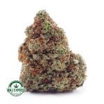 Buy Cannabis Orange Creamsicle AAAA at MMJ Express Online Shop