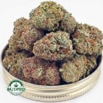 Buy Cannabis Orange Creamsicle AAAA at MMJ Express Online Shop