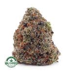 Buy Cannabis El Chapo AAAA at MMJ Express Online Shop