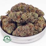 Buy Cannabis El Chapo AAAA at MMJ Express Online Shop