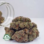 Buy Cannabis El Chapo AAAA at MMJ Express Online Shop
