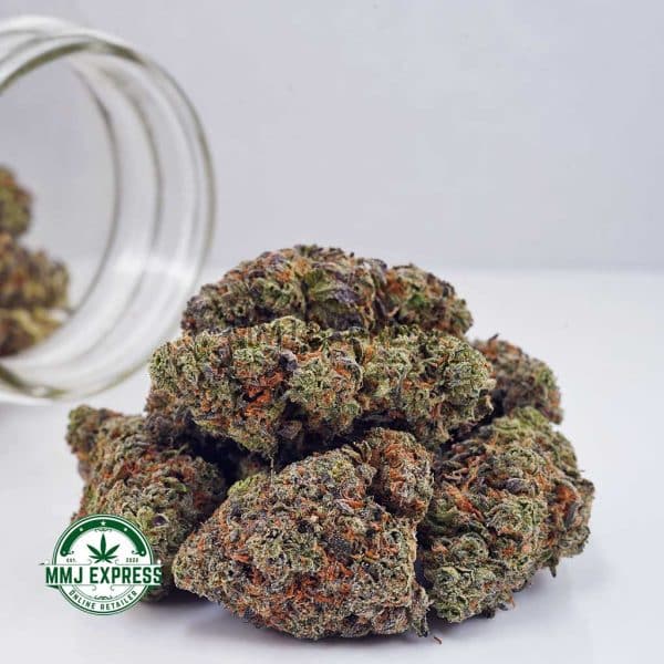 Buy Cannabis El Chapo AAAA at MMJ Express Online Shop