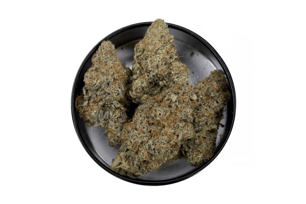 The GMO cookies strain or “Garlic, Mushroom, Onion” is every stoner’s fantasy, blending potency with unique flavours & lasting effects. Read blog.