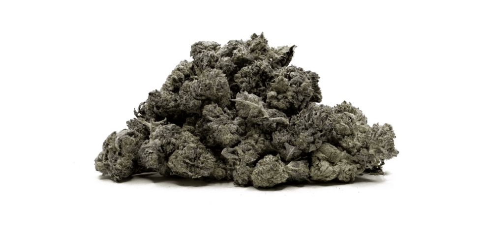Interestingly, the Pine Tar Kush strain is noted for being almost unchanged from its original genetic form — this overall showcases a rich heritage of 100 percent pure Indica genes native to the region.