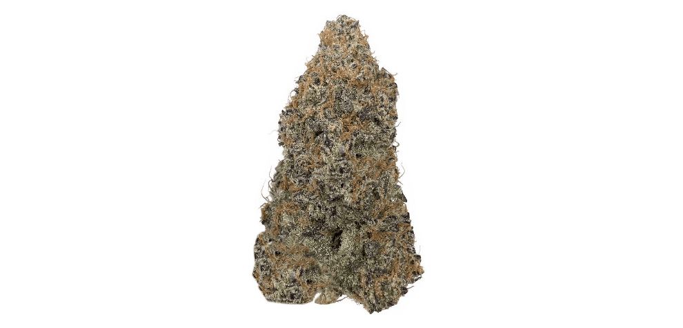 GMO Cookies has many terpenes — some would say that it's a terpene tank! Out of the bunch, the three dominant are Myrcene, Limonene, and Caryophyllene.