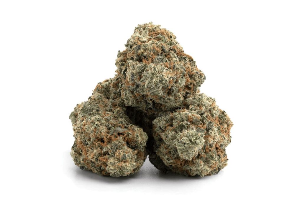 Moby Dick strain is said to be one in a million for a reason. Learn more about this iconic strain in this guide, and grab yours at MMJExpress! 