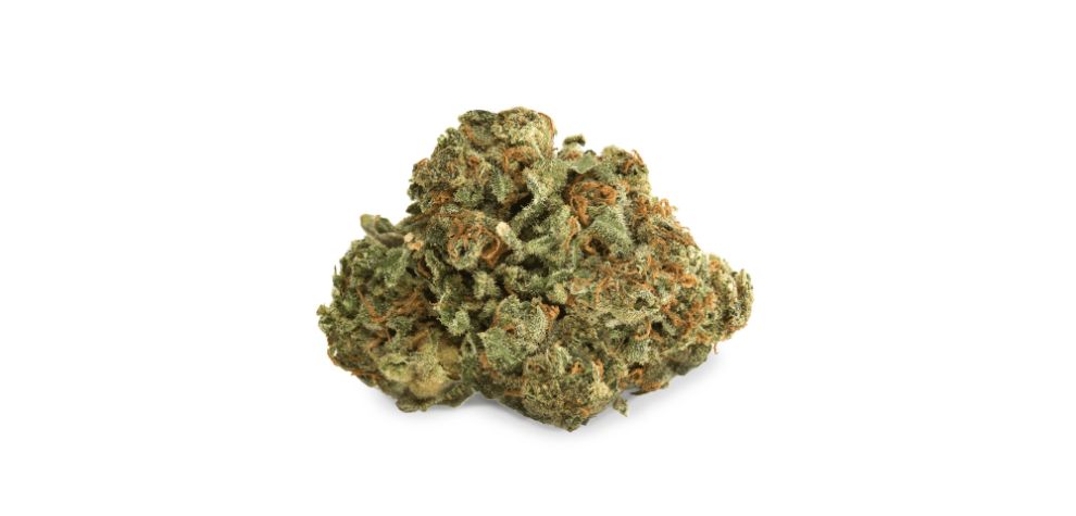 If you're looking for an energetic and calming high, visit MMJExpress and get a pack of Moby Dick weed! 