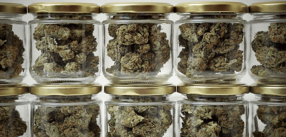 Don't get scammed when you buy online pot. Here's how to know if a dispensary is legit.