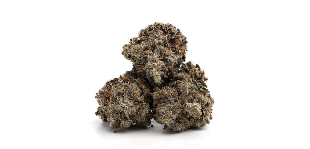 Usually, you can expect a Pine Tar Kush THC level anywhere from 18 to 22 percent. However, some sources can provide you with an even stronger version of Pine Tar Kush, topping 30 percent!