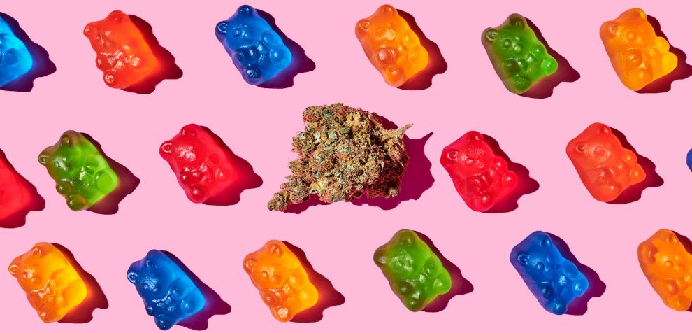You might be wondering, how does a pot candy evolve from a simple, sweet treat into potent pot gummies that hit you like a ton of bricks?