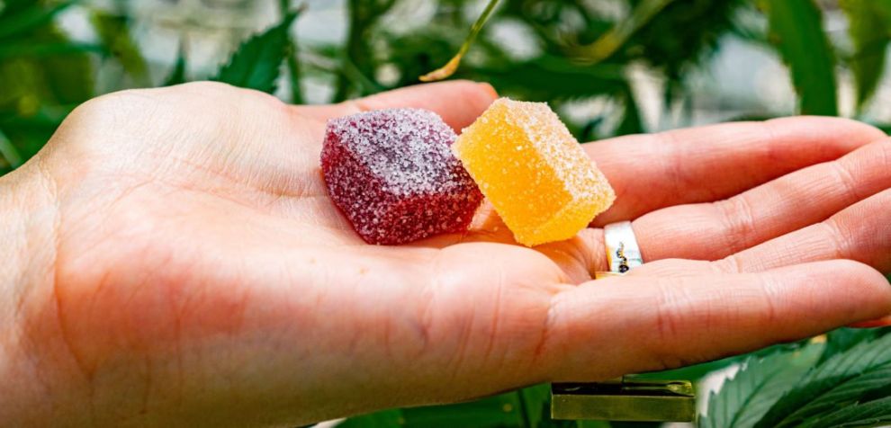 Whether to take indica or sativa gummies comes down to personal choice and the kind of experience one is looking for. If you want a stimulating, energizing high, sativa edibles are the way to go.