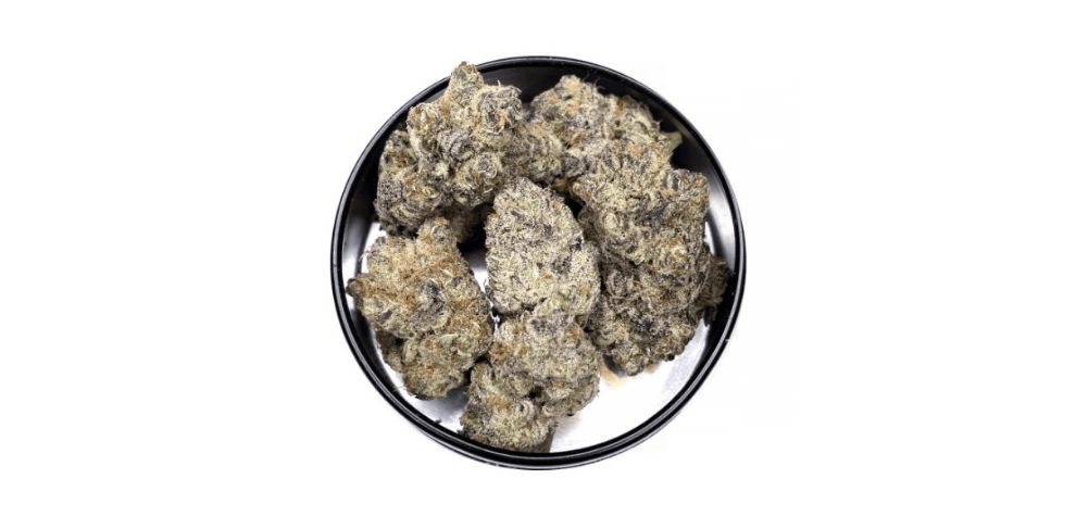 The fact that most people love the Unicorn Poop strain due to its unique aroma and flavour is a clear testament to its rich terpene profile. 