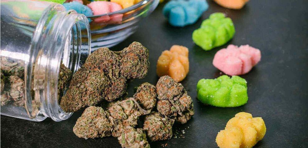 The effects of edible cannabis can feel extreme, so knowing how much your body can tolerate is crucial. So, what are the dosage guidelines for weed edibles?