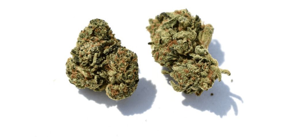 When you buy indica flower online, you are probably hoping for a highly relaxing high. That's precisely what you are likely to get.
