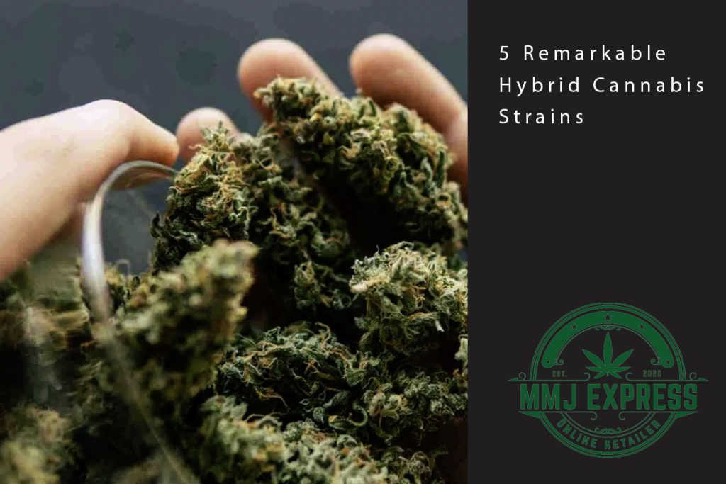 5 hybrid strains