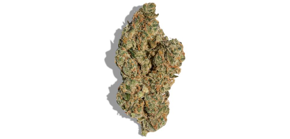According to the GMO Cookies strain info, this weed is almost pure Indica with a touch of Sativa power.