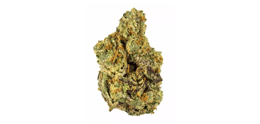 This Gary Payton strain review will help you determine whether or not you should order it from an online dispensary in Canada. 