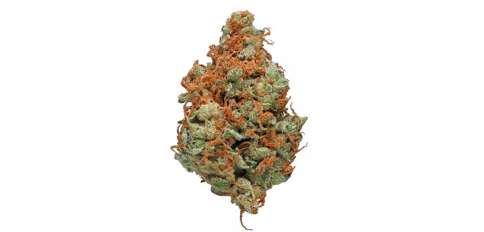 The Strawberry Cough strain is a rare hybrid born from the union of two delectable parent strains. It's a bud famous for stimulating and energizing effects, ideal for a quick morning pick-me-up! 
