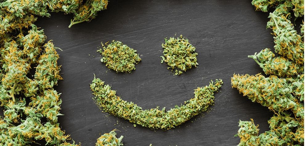 Whether you crave the uplifting cerebral buzz of sativa cannabis flower, the deep body relaxation of indicas, or the balanced effects of hybrid weed flower strains, our online dispensary has you covered.