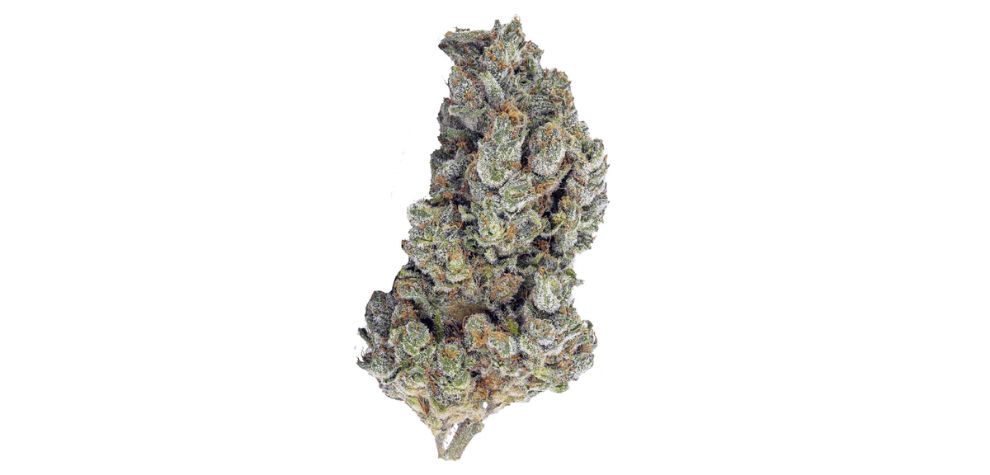Are you looking to buy the Sour Tangie strain buds in Canada? MMJ Express is the leading online weed dispensary to buy cannabis in the country.