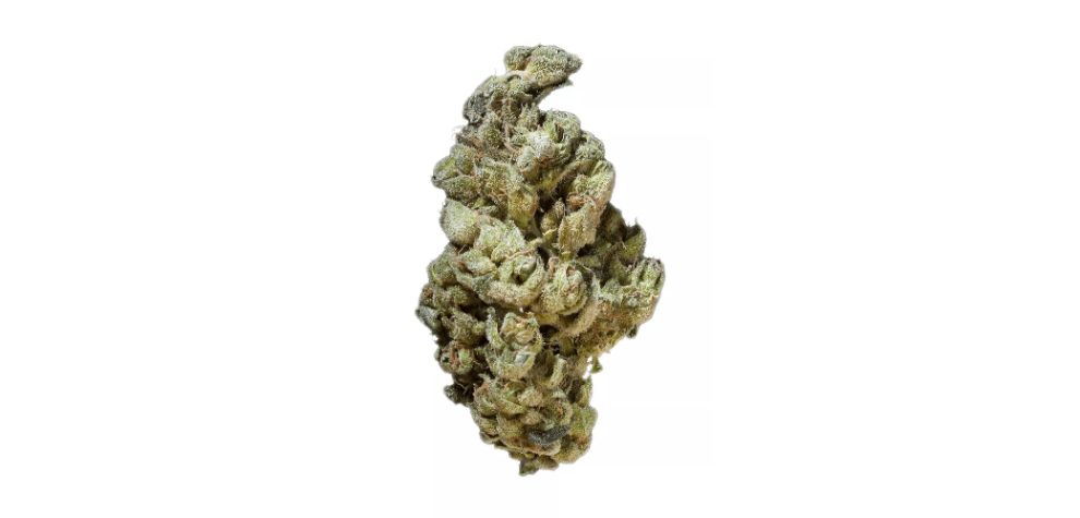 What is the best online weed dispensary to buy the Venom OG Strain? If you are looking for a reputable BC bud online store, MMJ Express is the leading dispensary in Canada for quality weed products at the lowest prices.