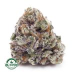 Buy Cannabis Purple Slurricane AAA at MMJ Express Online Shop