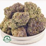 Buy Fruit Loopz AAA Cannabis at MMJ Express Online Shop