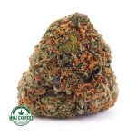 Buy Cannabis Green Dragon AAA at MMJ Express Online Shop