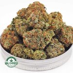 Buy Cannabis Green Dragon AAA at MMJ Express Online Shop