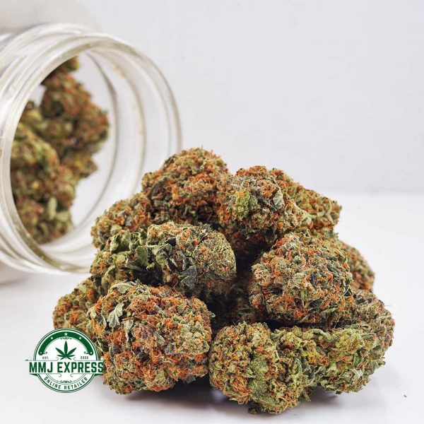 Buy Cannabis Green Dragon AAA at MMJ Express Online Shop