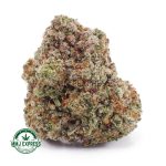 Buy Cannabis Candy Land AAA MMJ Express Online Shop