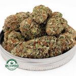 Buy Cannabis Red Congolese AA at MMJ Express Online Shop